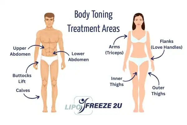 Graphic showing where you can have Body toning Treatment Bradford-on-Avon on your body